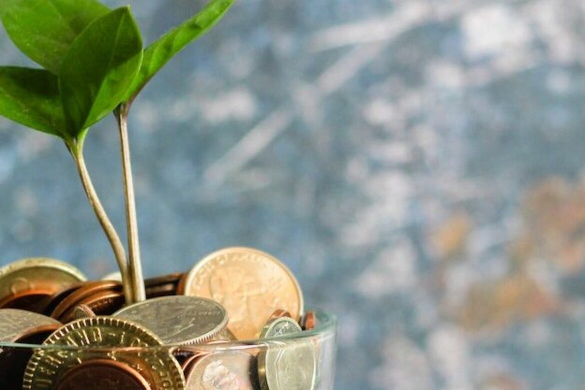 So You Want to Buy Innovation?